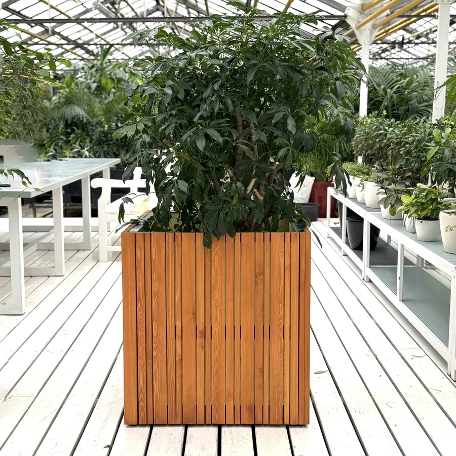 КАШПО MAXPLANTER NAPOLI (НЕАПОЛЬ) АРТ. NP-1210