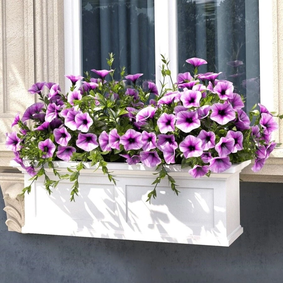 Петуния для балкона Petunia