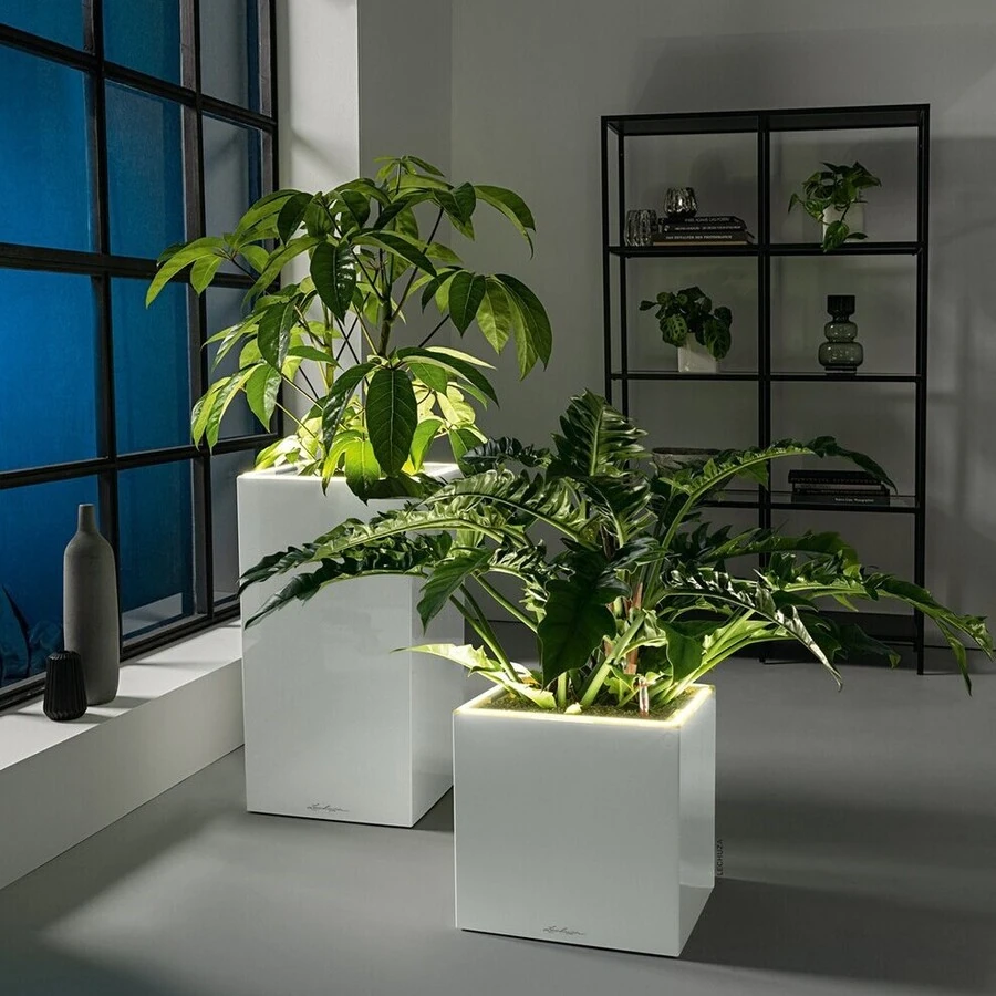 Lechuza Canto Premium LED 