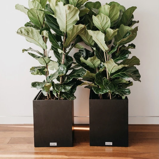 КАШПО MAXPLANTER SIDNEY (СИДНЕЙ) АРТ. SD-1600