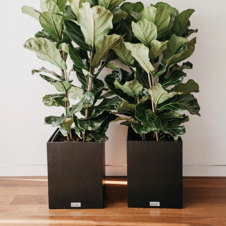 КАШПО MAXPLANTER SIDNEY (СИДНЕЙ) АРТ. SD-1600