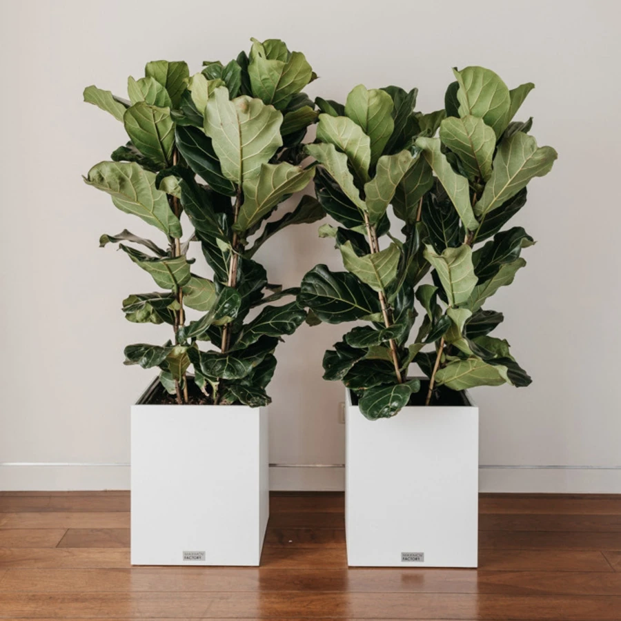 КАШПО MAXPLANTER SIDNEY (СИДНЕЙ) АРТ. SD-1700