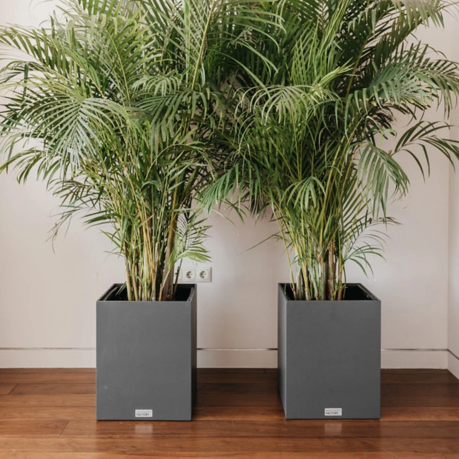 КАШПО MAXPLANTER SIDNEY (СИДНЕЙ) АРТ. SD-1800