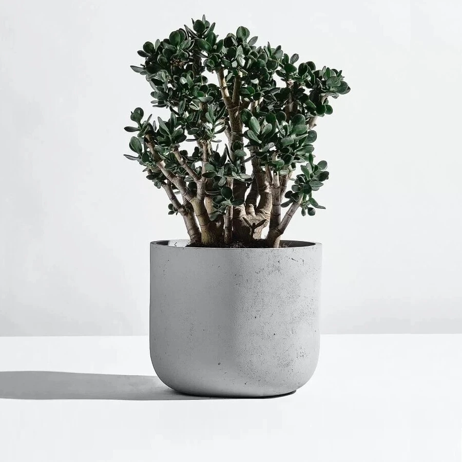 Кашпо Circle gray
