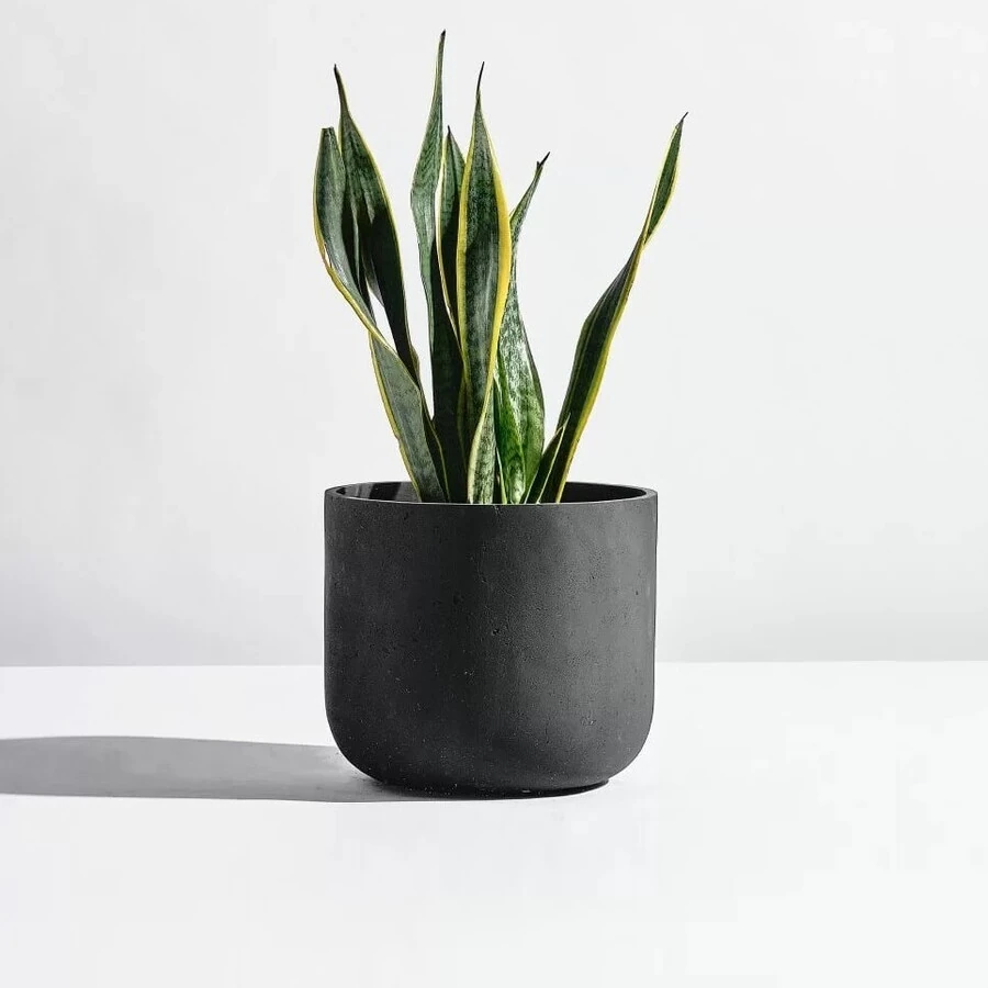 Кашпо Circle black