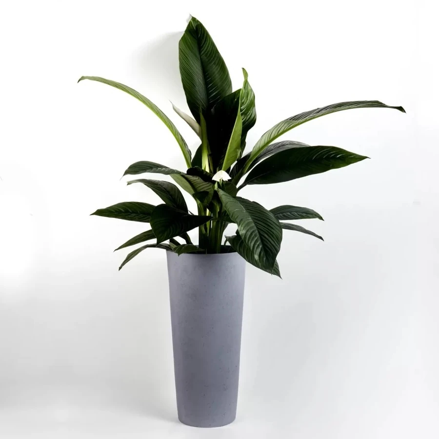 Кашпо Cone grey