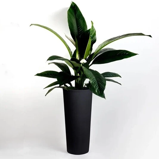 Кашпо Cone black