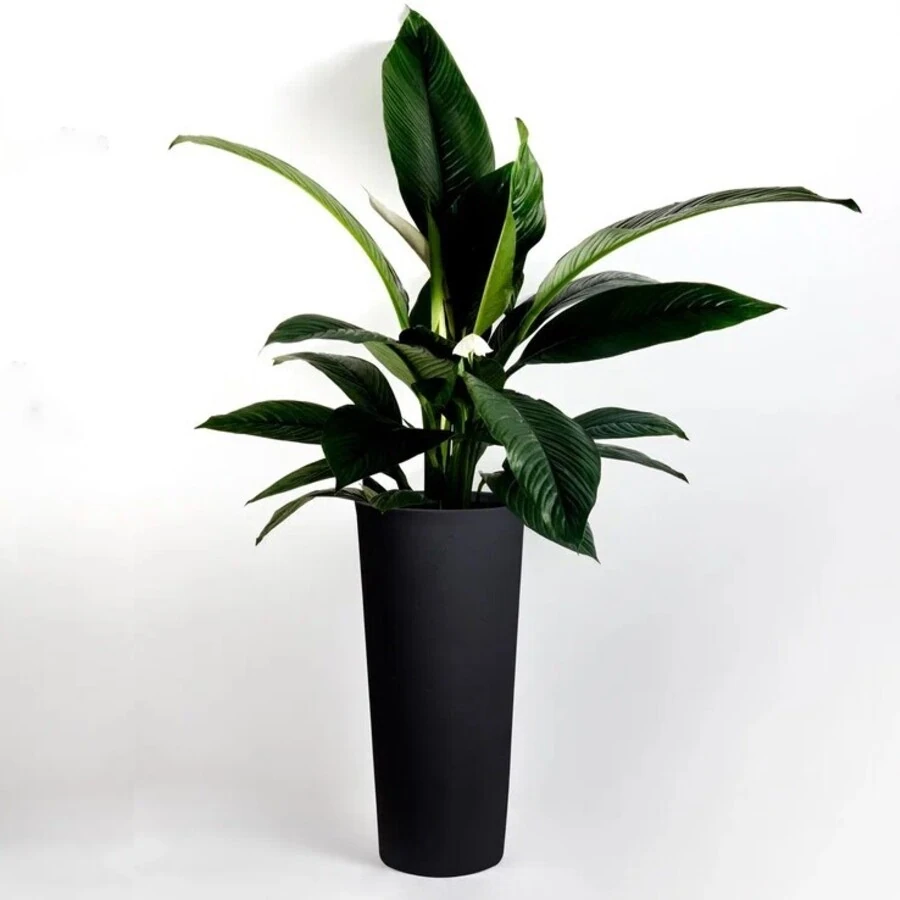 Кашпо Cone black
