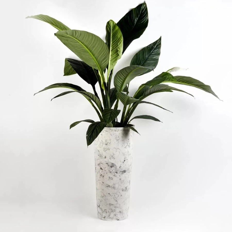 Кашпо Cone Marble