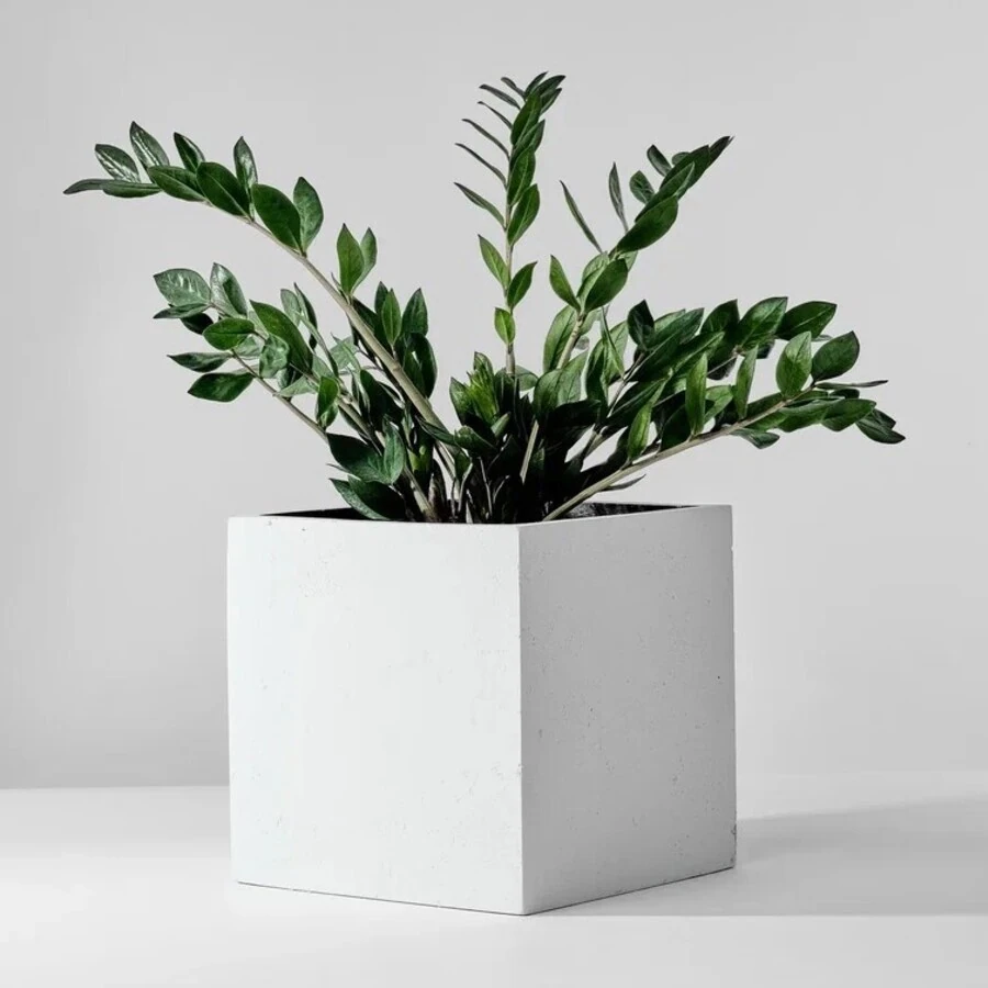 Кашпо Cubo white