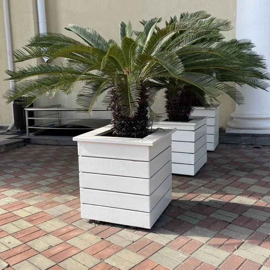 КАШПО MAXPLANTER PARAISO (ПАРАИСО) АРТ. PA-1211