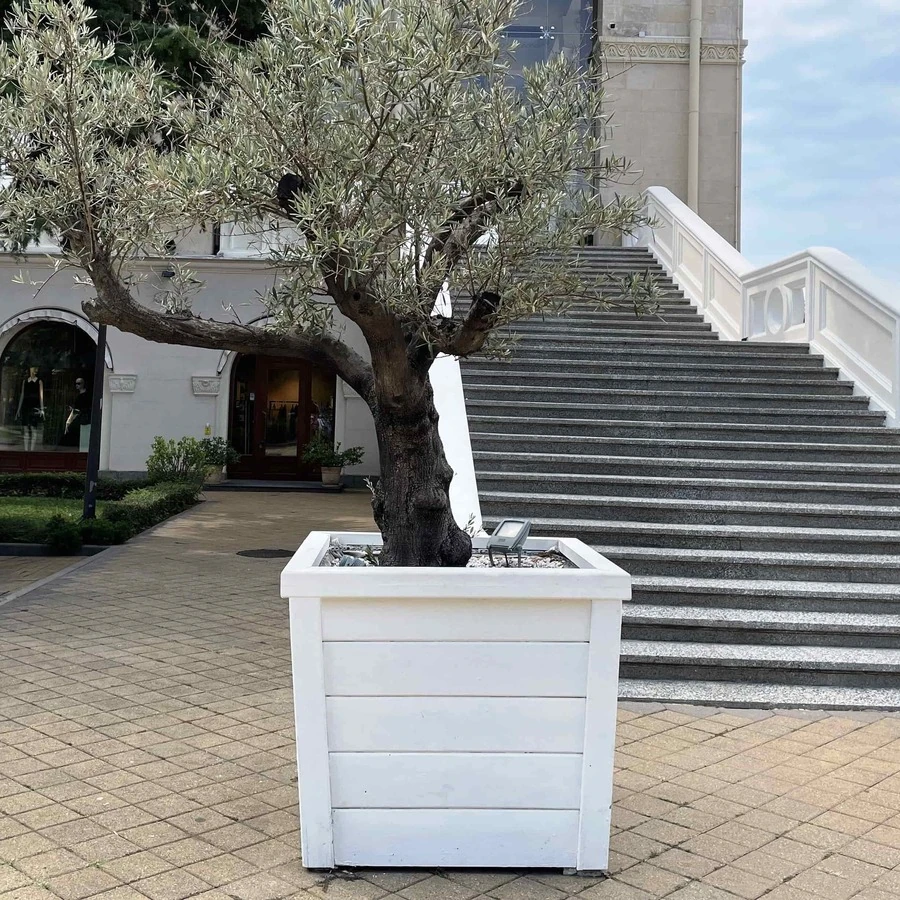КАШПО MAXPLANTER CAIRO (КАИР) АРТ. CR-1211