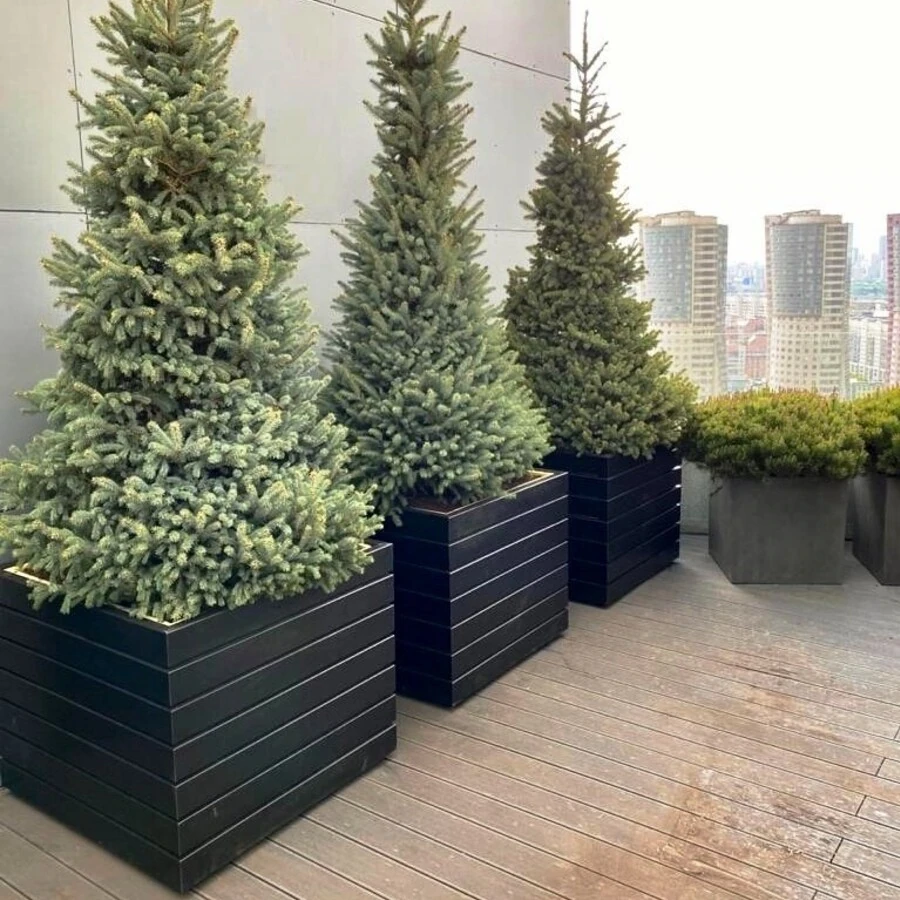 КАШПО MAXPLANTER PARIS (ПАРИЖ) АРТ. PS-1211