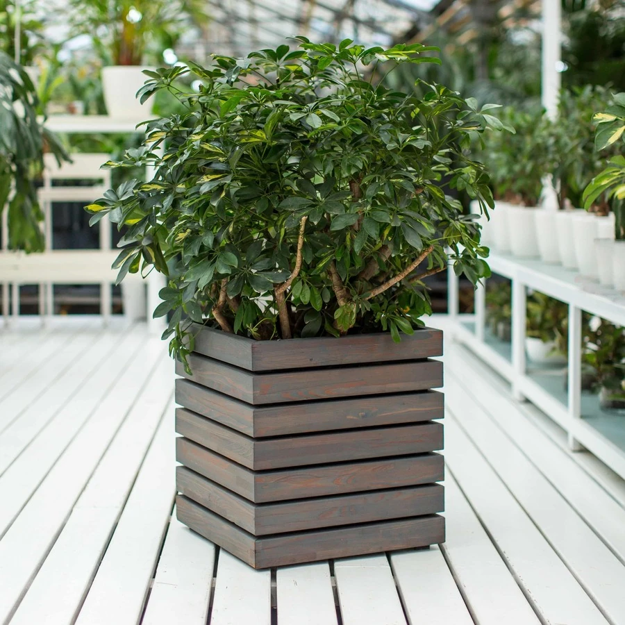 КАШПО MAXPLANTER PARIS (ПАРИЖ) АРТ. PS-1810