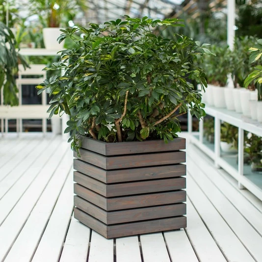 КАШПО MAXPLANTER PARIS (ПАРИЖ) АРТ. PS-1810-1