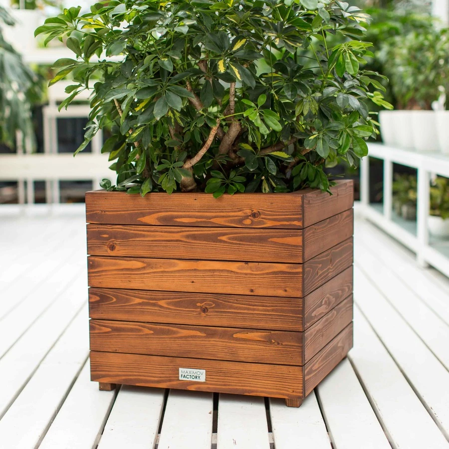 КАШПО MAXPLANTER BOSTON (БОСТОН) АРТ. BT-1300