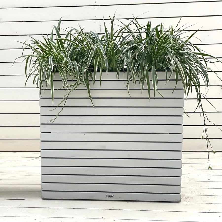 КАШПО MAXPLANTER PARIS (ПАРИЖ) АРТ. PS-2810