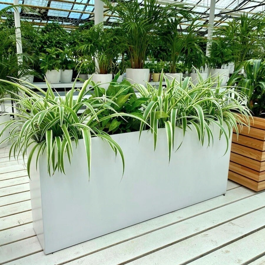 Группа "Выставочная"