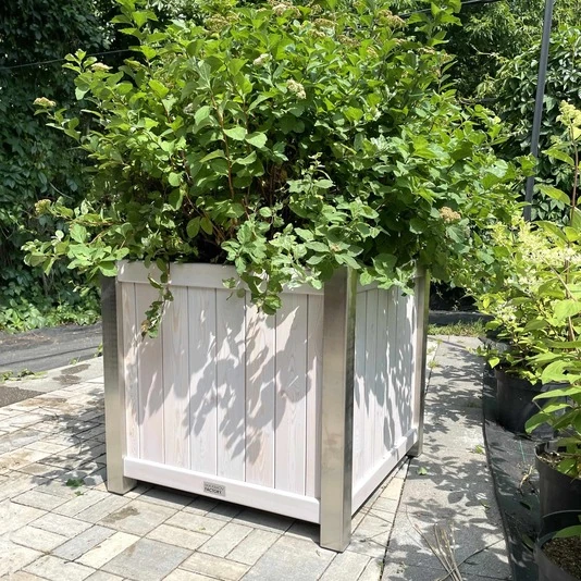 КАШПО MAXPLANTER BERLIN (БЕРЛИН) АРТ. BR-1920
