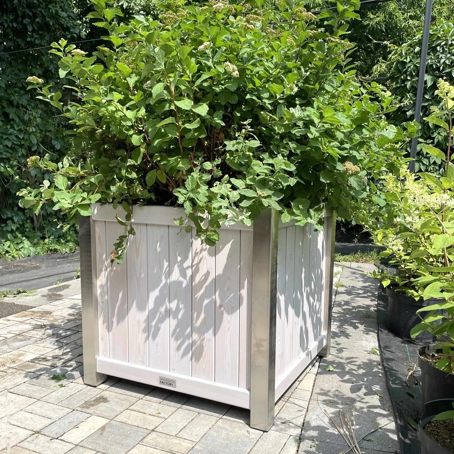 КАШПО MAXPLANTER BERLIN (БЕРЛИН) АРТ. BR-1920