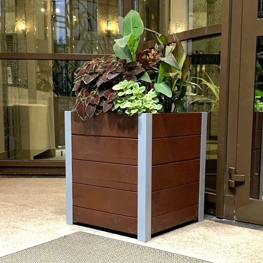 КАШПО MAXPLANTER DUBLIN (ДУБЛИН) АРТ. DB-1210