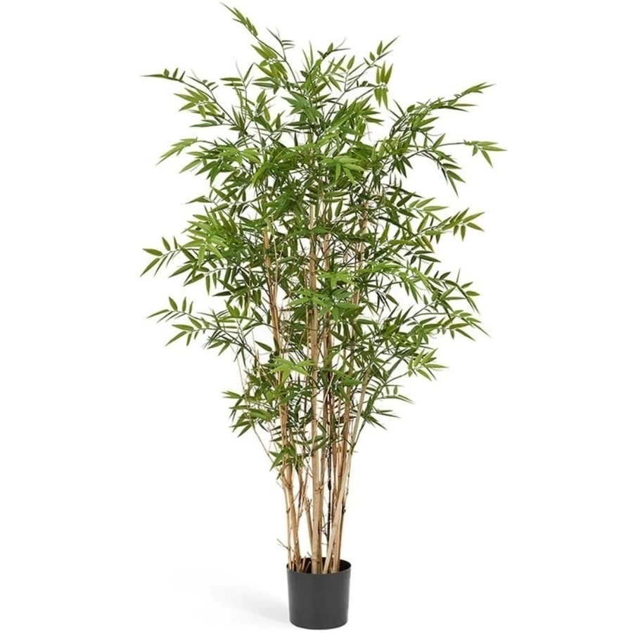 БАМБУК НОВЫЙ ЯПОНСКИЙ ЭЛЕГАНТ
