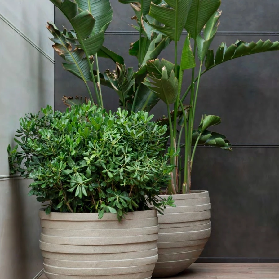  Кашпо из керамики MaxPlanter -5012.UF
