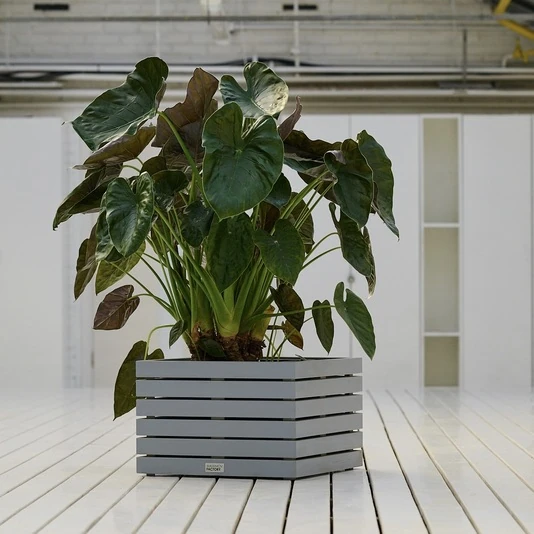 КАШПО MAXPLANTER PARIS (ПАРИЖ) АРТ. PS-2810-1
