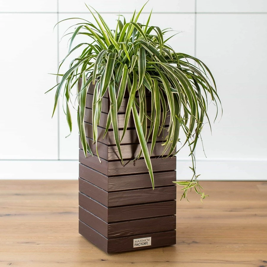 КАШПО MAXPLANTER PARIS (ПАРИЖ) АРТ. PS-1910