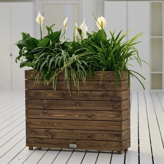 КАШПО MAXPLANTER BOSTON (БОСТОН) АРТ. BT-2200