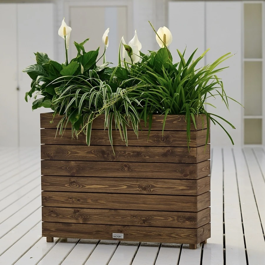 КАШПО MAXPLANTER BOSTON (БОСТОН) АРТ. BT-2200
