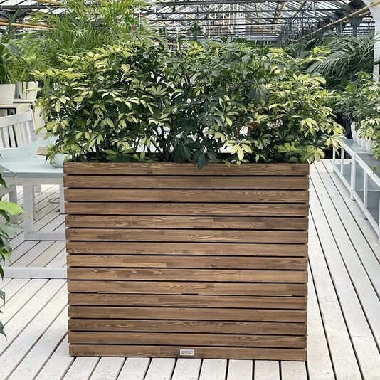КАШПО MAXPLANTER PARIS (ПАРИЖ) АРТ. PS-2410