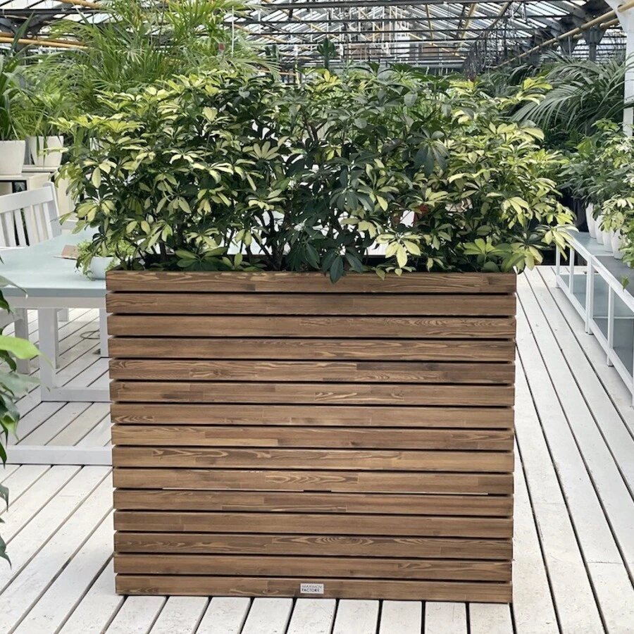 КАШПО MAXPLANTER PARIS (ПАРИЖ) АРТ. PS-2410