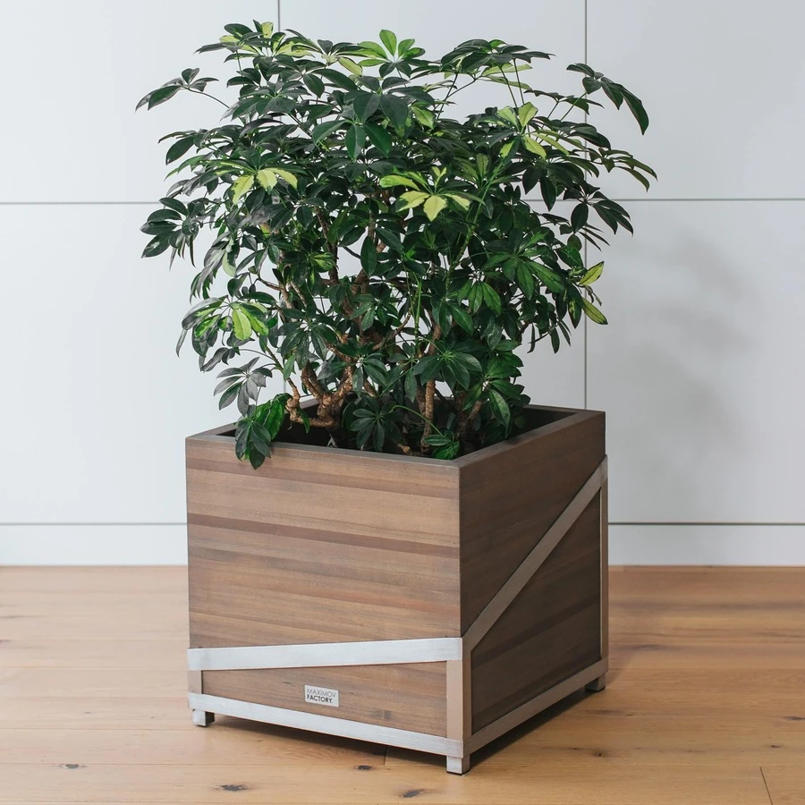 КАШПО MAXPLANTER TOKIO (ТОКИО) АРТ. TK-1120