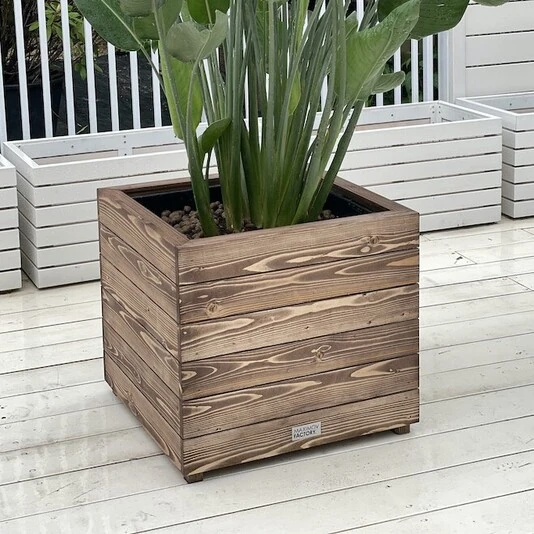 КАШПО MAXPLANTER BOSTON (БОСТОН) АРТ. BT-1200 