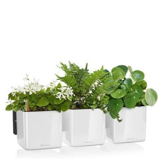 Lechuza Green Wall Home Kit Glossy