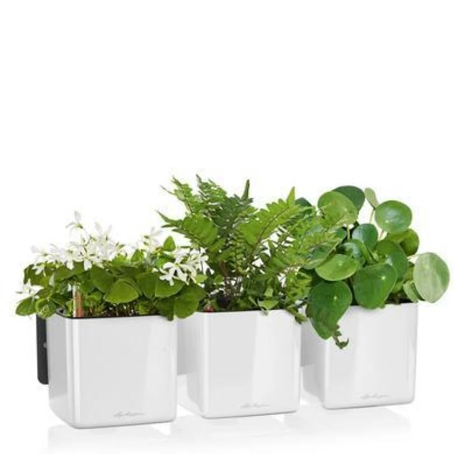 Lechuza Green Wall Home Kit Glossy