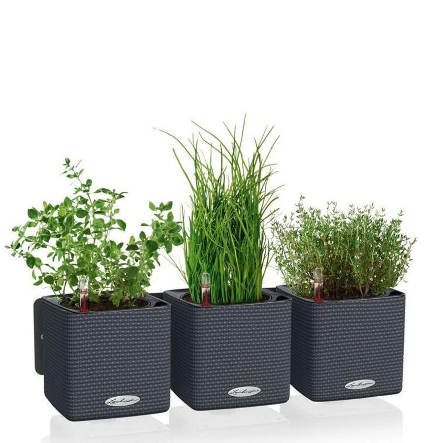 Lechuza Green Wall Home Kit Color