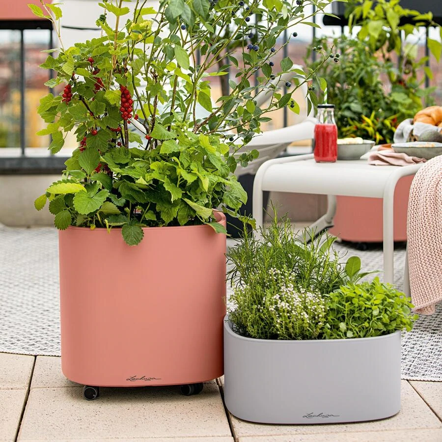 Lechuza Pila Color Planter