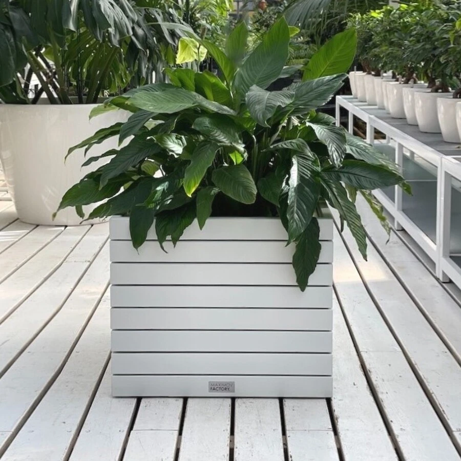 КАШПО MAXPLANTER PARIS (ПАРИЖ) АРТ. PS-1410
