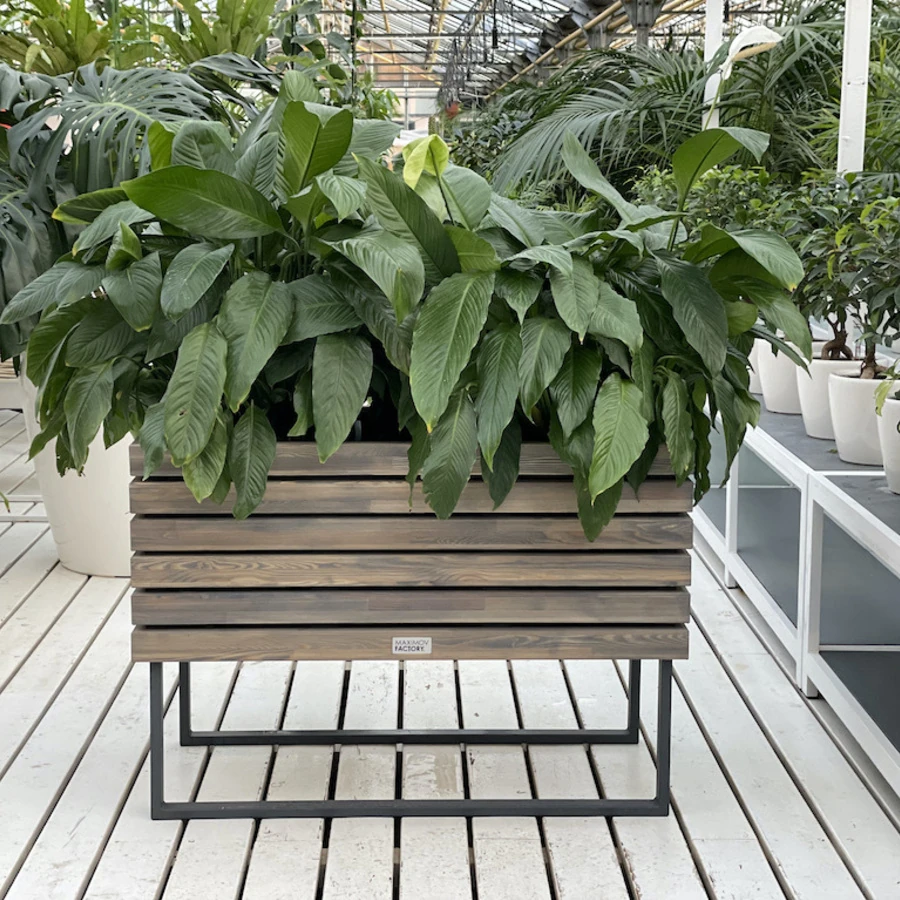 КАШПО MAXPLANTER VERONA (ВЕРОНА) АРТ. VR-2210