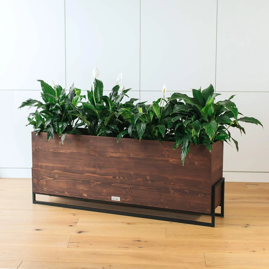 КАШПО MAXPLANTER FIJI (ФИДЖИ) АРТ. FJ-2210-1
