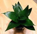 Photo thumb w180