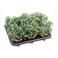 Photo thumb w180