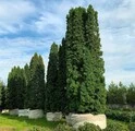 Photo thumb w180