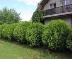 Photo thumb w180