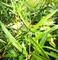 Photo thumb w180