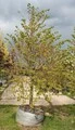 Photo thumb w180