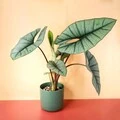 Photo thumb w180