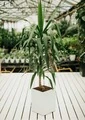 Image thumb w180